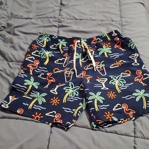 Chubbies swim trunks